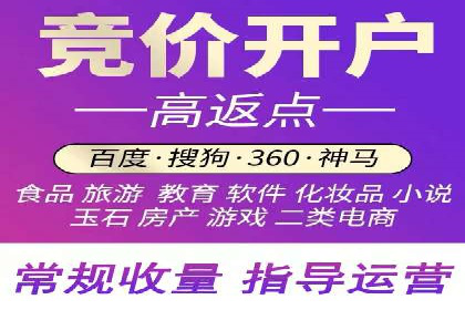 竞价推广实战：经典案例深度解析