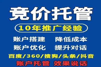 推广竞价策略解析：成功案例分享